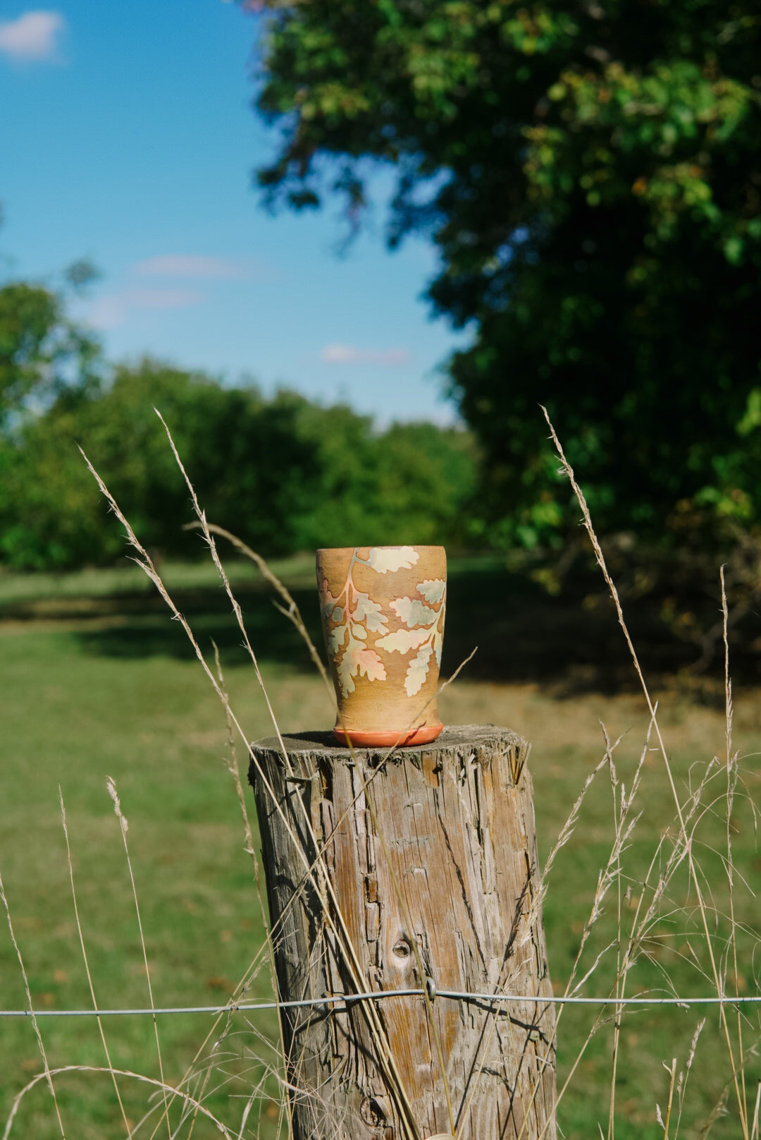 Rutland Oak Cup