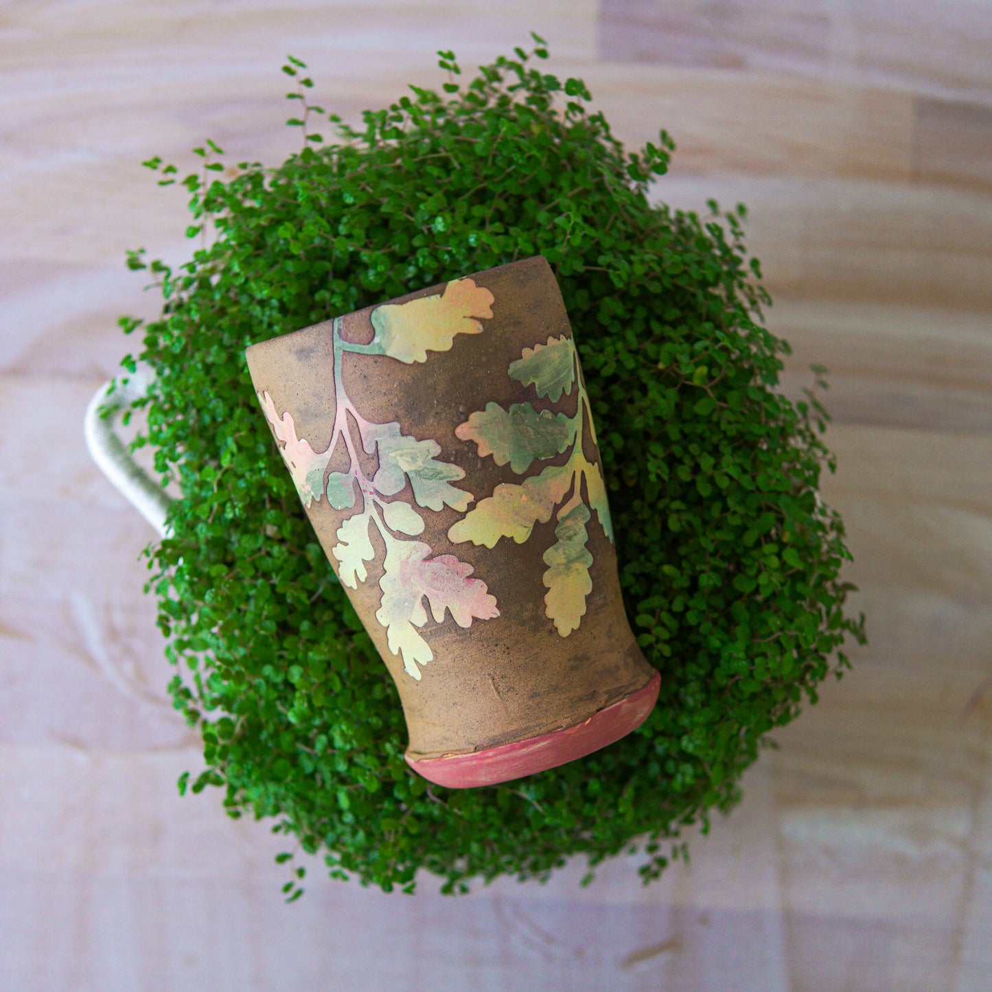 Rutland Oak Cup